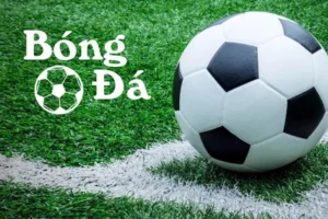 Bóng Trong Cuộc Và Bóng Ngoài Cuộc Những Quy Định Chuẩn Trong Luật Bóng Đá 2026
