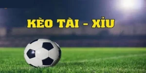 Kèo Tài Xỉu Hiệp 2 Tại BongDaLu Khám Phá Cách Dự Đoán Chuẩn Và Hiệu Quả 2026