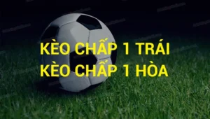 Kèo Chấp 1 Tại BongDaLu Bí Quyết Phân Tích Chuẩn Xác Để Tăng Tỷ Lệ Thắng