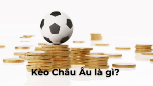 Bí Quyết Soi Kèo Châu Âu Tại BongDaLu Chuẩn Xác Cho Người Mới