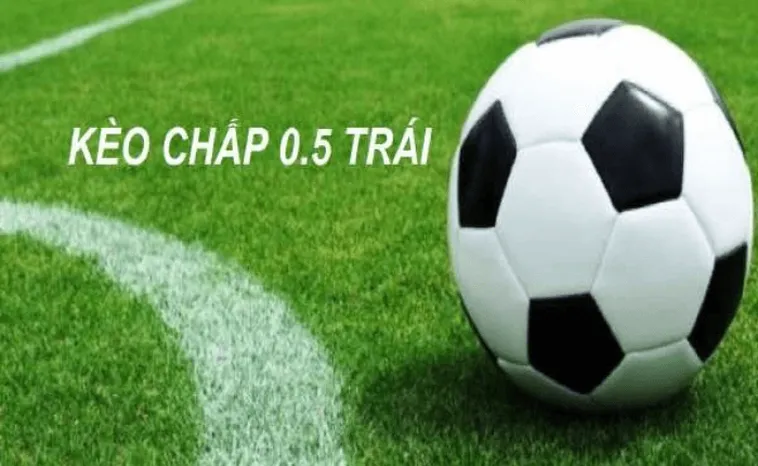 Hướng Dẫn Soi Kèo Chấp 0.5 Tại BongDaLu Chính Xác Nhất Cho Người Mới