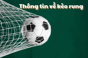 Bí Quyết Chơi Kèo Rung Trong Bóng Đá Tại BongDaLu Hiệu Quả Nhất